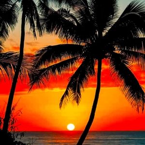 Meet your Posher, Kendi